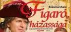 VIDÁM SZÍNHÁZI ESTÉK: FIGARÓ HÁZASSÁGA